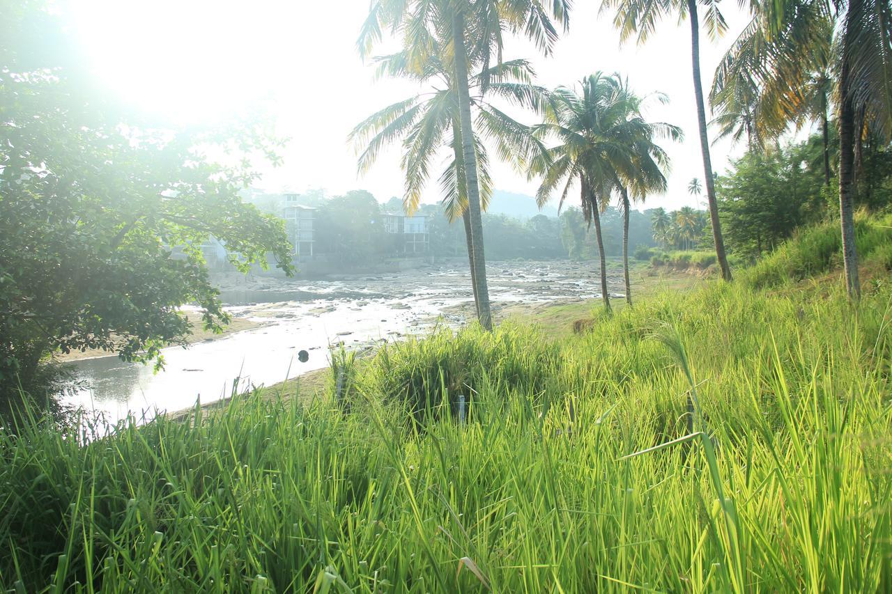 Ma Oya Retreat Pinnawala Pinnawala (Kegalle) Luaran gambar