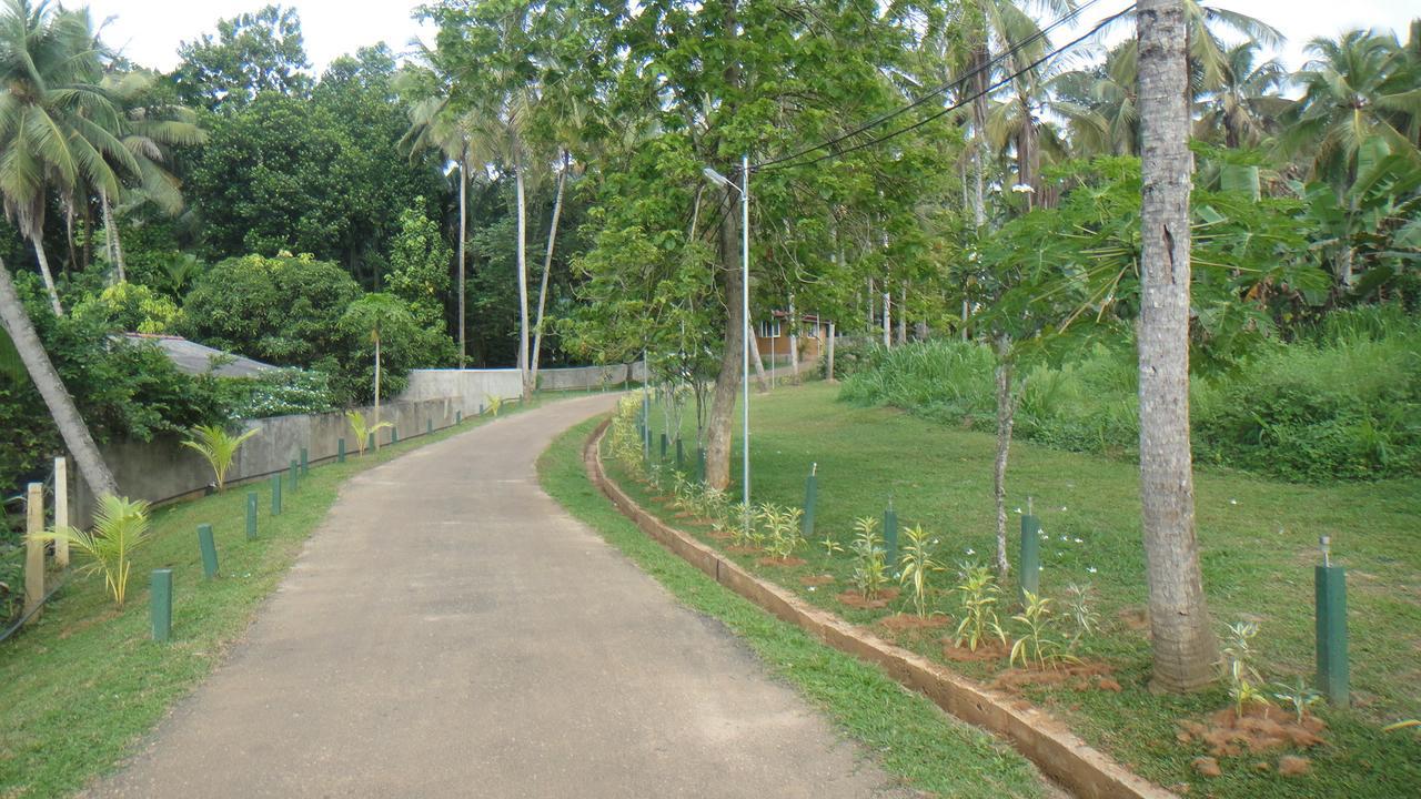 Ma Oya Retreat Pinnawala Pinnawala (Kegalle) Luaran gambar