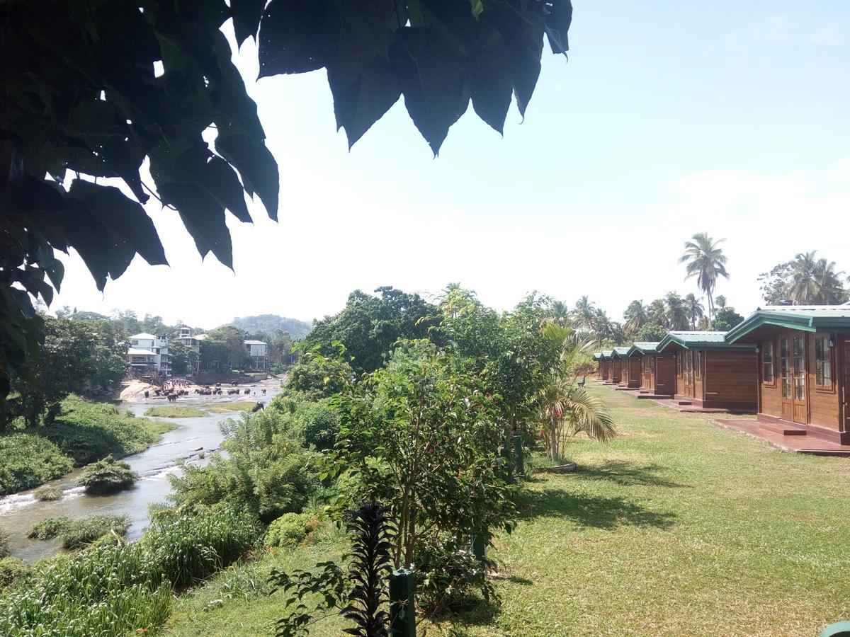 Ma Oya Retreat Pinnawala Pinnawala (Kegalle) Luaran gambar