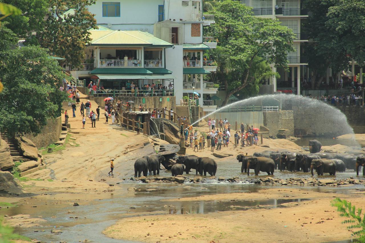 Ma Oya Retreat Pinnawala Pinnawala (Kegalle) Luaran gambar