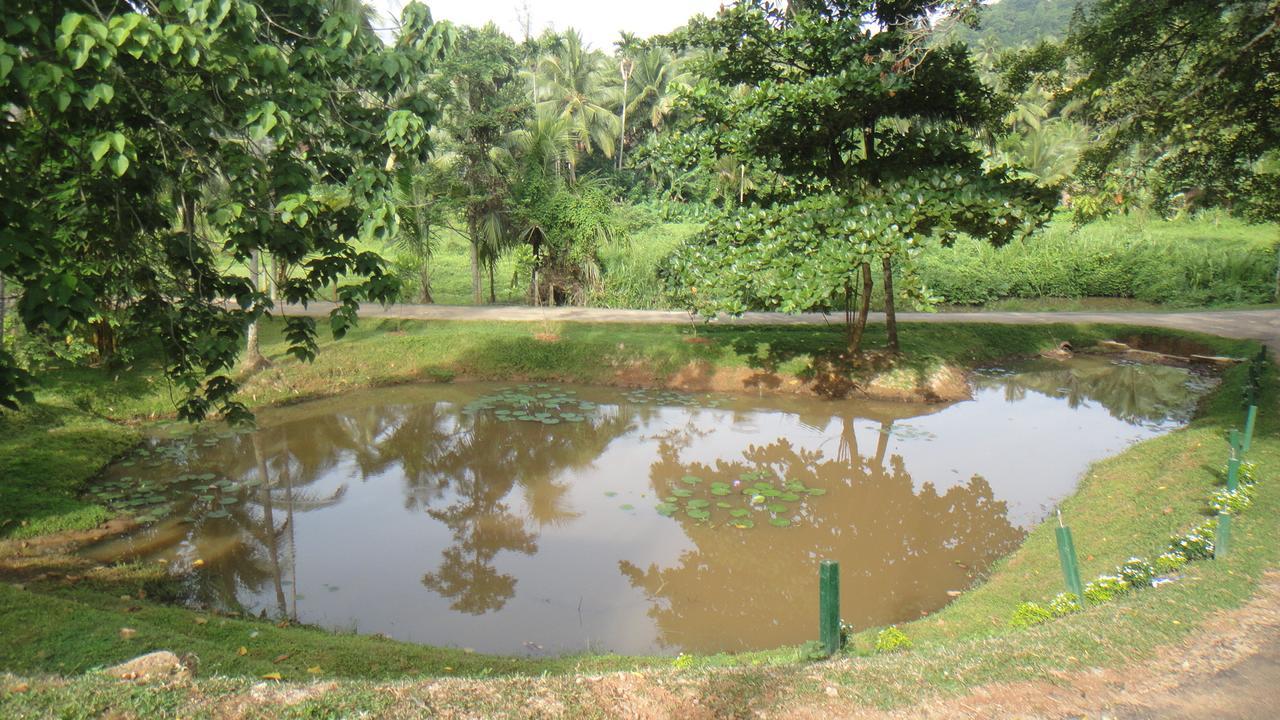 Ma Oya Retreat Pinnawala Pinnawala (Kegalle) Luaran gambar
